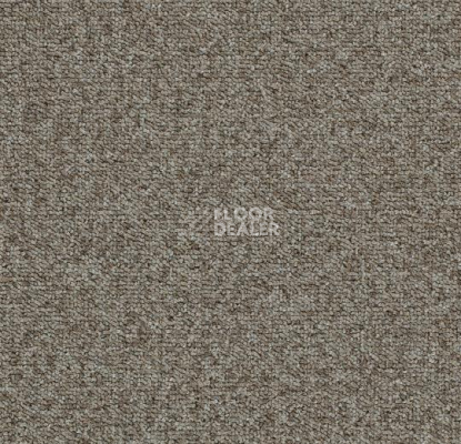 Ковровая плитка Forbo Tessera Basis 379 Suede фото 1 | FLOORDEALER